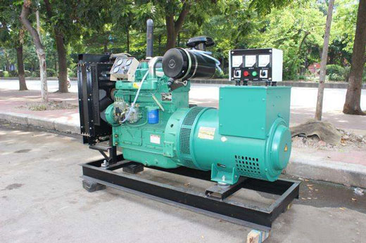 浩口原种场发电机不发电的原因