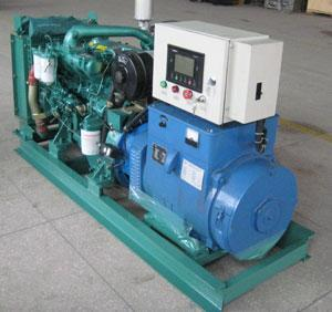 浩口原种场发电机出租